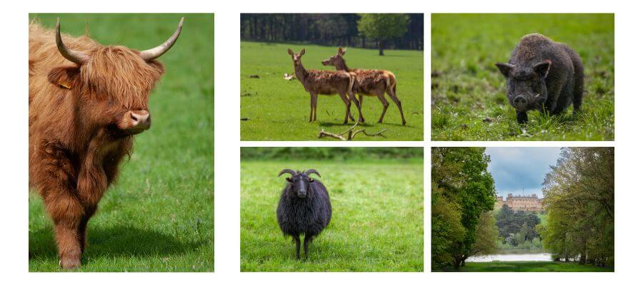 Wildlife Photography in Leeds