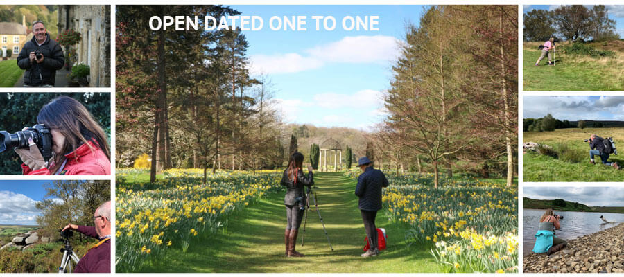 One-to-One Days Yorkshire
