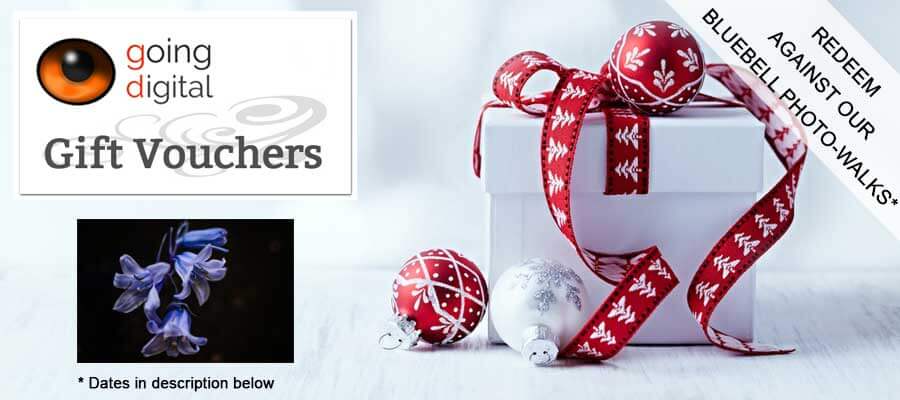 Going_Digital_London_Christmas_Gift_Vouchers_Bluebells.jpg