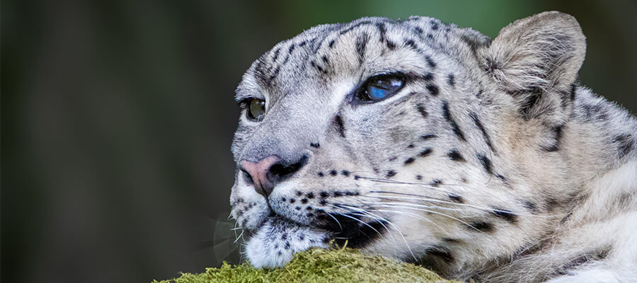 Marwell Header Image.jpg