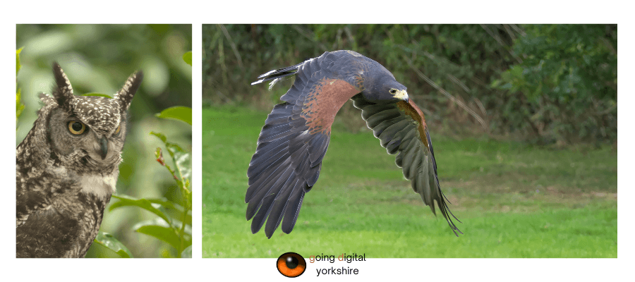 Going Digital - Website workshop pics (9).png