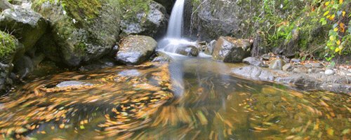 Water & its Moods
