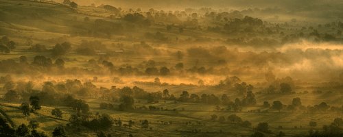 Creative Landscapes