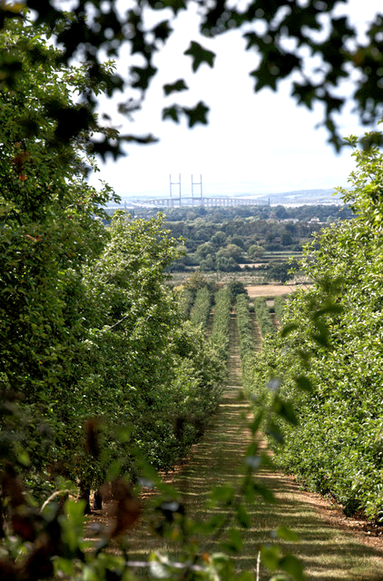 Almondsbury, Bristol